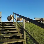 Ordinger Böhl